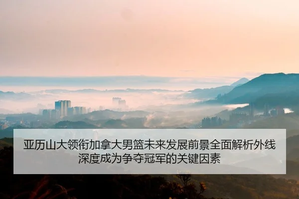亚历山大领衔加拿大男篮未来发展前景全面解析外线深度成为争夺冠军的关键因素